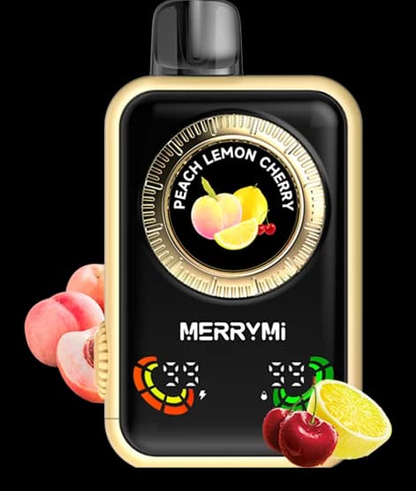 MerryMi Wifun